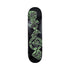 Snakesin Deck in Black